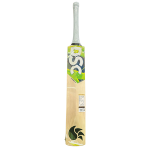DSC Torment LE (KW) Cricket Bat