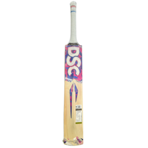 DSC Intense 6000 Cricket Bat