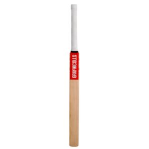 Gray Nicolls - Eye In Bat
