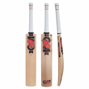 GM Radon Select Cricket Bat