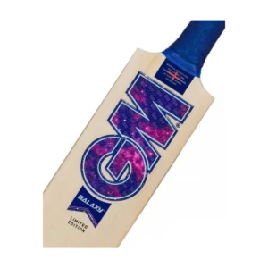 GM Galaxy 404