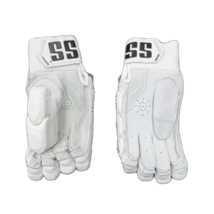 SS Pro 1.0
