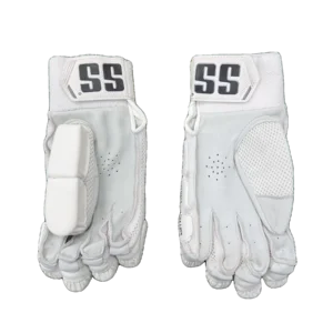 SS Pro 2.0