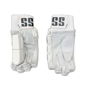 SS Pro 3.0