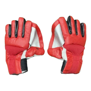 NAS Indoor Wicket Keeping Gloves