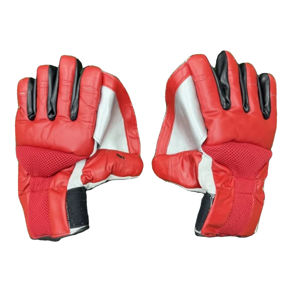 NAS Indoor Wicket Keeping Gloves