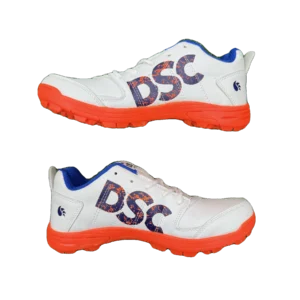DSC Beamer