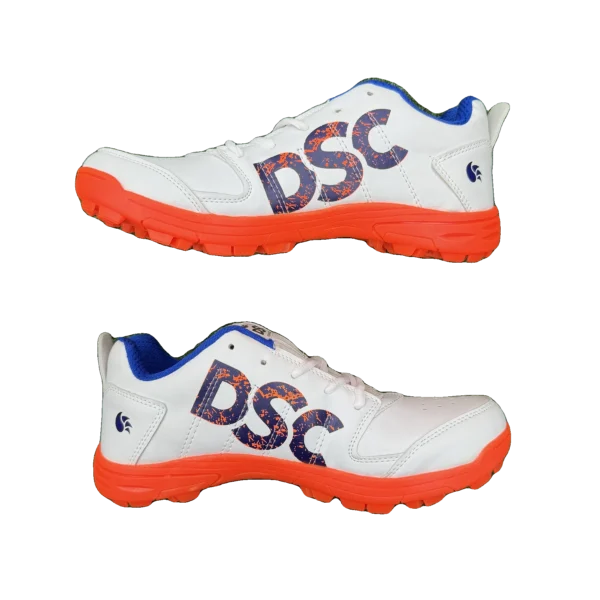 DSC Beamer