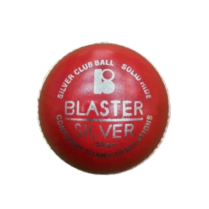 Blaster Silver Cricket Ball