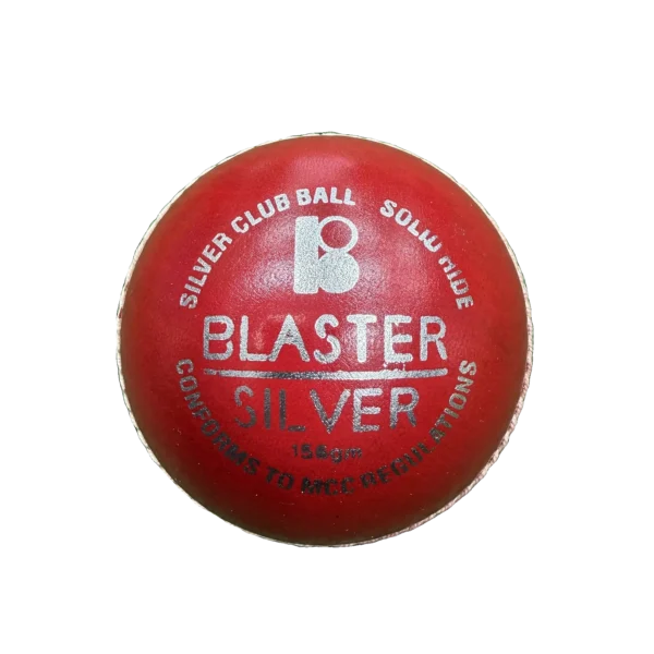 Blaster Silver Cricket Ball