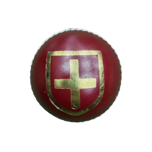 Focus Club Cricket Ball