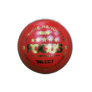 Focus Select Cricket Ball