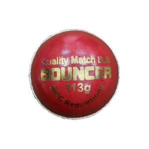 IXU Bouncer Cricket Ball
