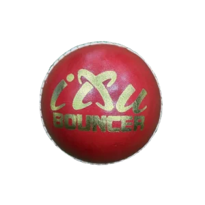 IXU Bouncer