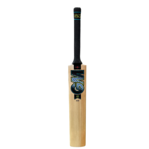 GM Aion 808 Cricket Bat