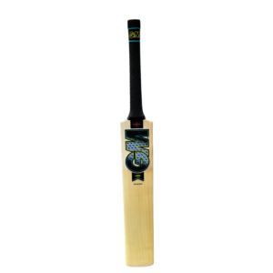 GM Aion Original Cricket Bat
